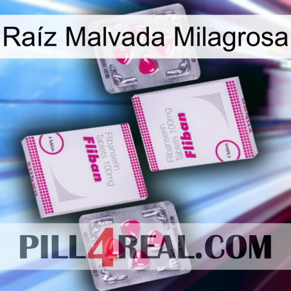 Raíz Malvada Milagrosa 33.jpg